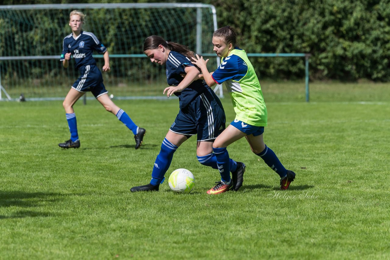 Bild 219 - B-Juniorinnen VfL Pinneberg - HSV : Ergebnis: 1:4